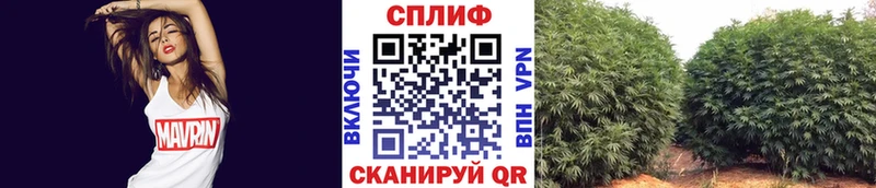 Наркошоп купить ГАШ МЕТАДОН Кокаин МЕФ Канабис Усть-Лабинск