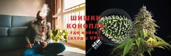 индика Приозерск