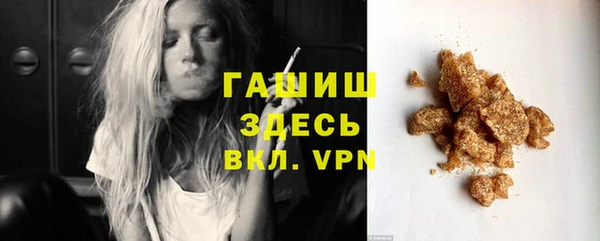 индика Приозерск