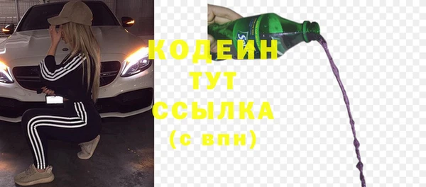 индика Приозерск