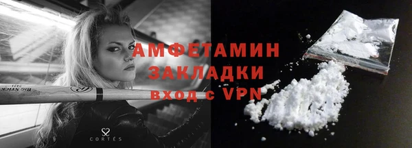 индика Приозерск