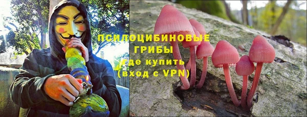 тгк Протвино