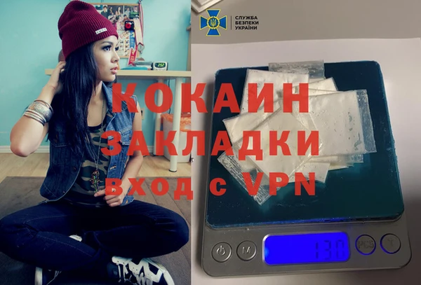 индика Приозерск