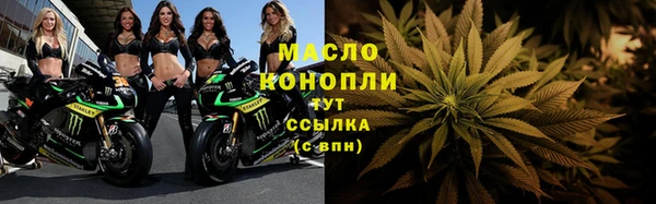 индика Приозерск