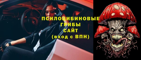 индика Приозерск