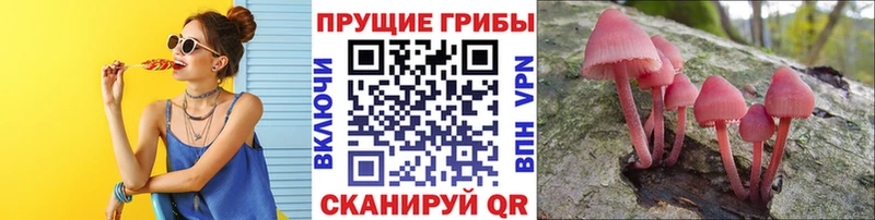 Псилоцибиновые грибы MAGIC MUSHROOMS  Купить  Усть-Лабинск 